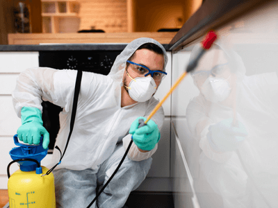 About Oliver Rodent Experts - pest control experts in Capel Sound