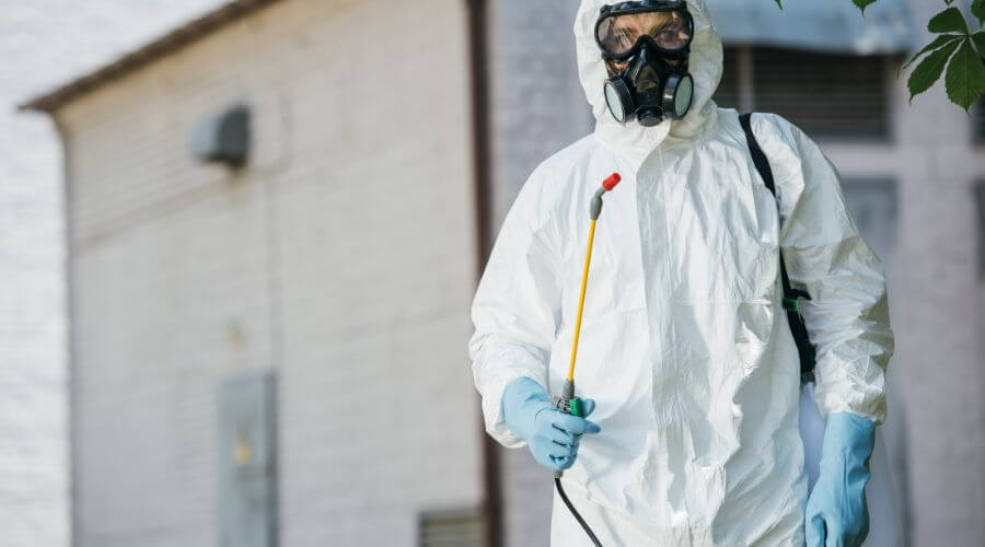 Professional pest control services in Capel Sound
